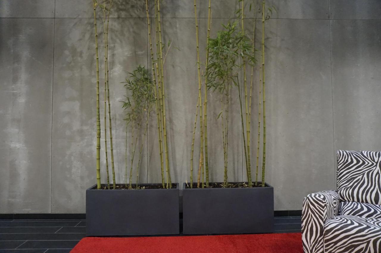 Lumen Place Apartamentos Mondoñedo 外观 照片